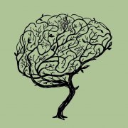 Congresso de Neurologia no Centro-Oeste
